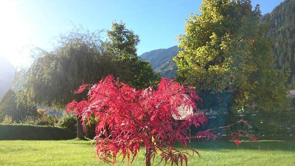 Villa Amsel 메이른호픈 외부 사진